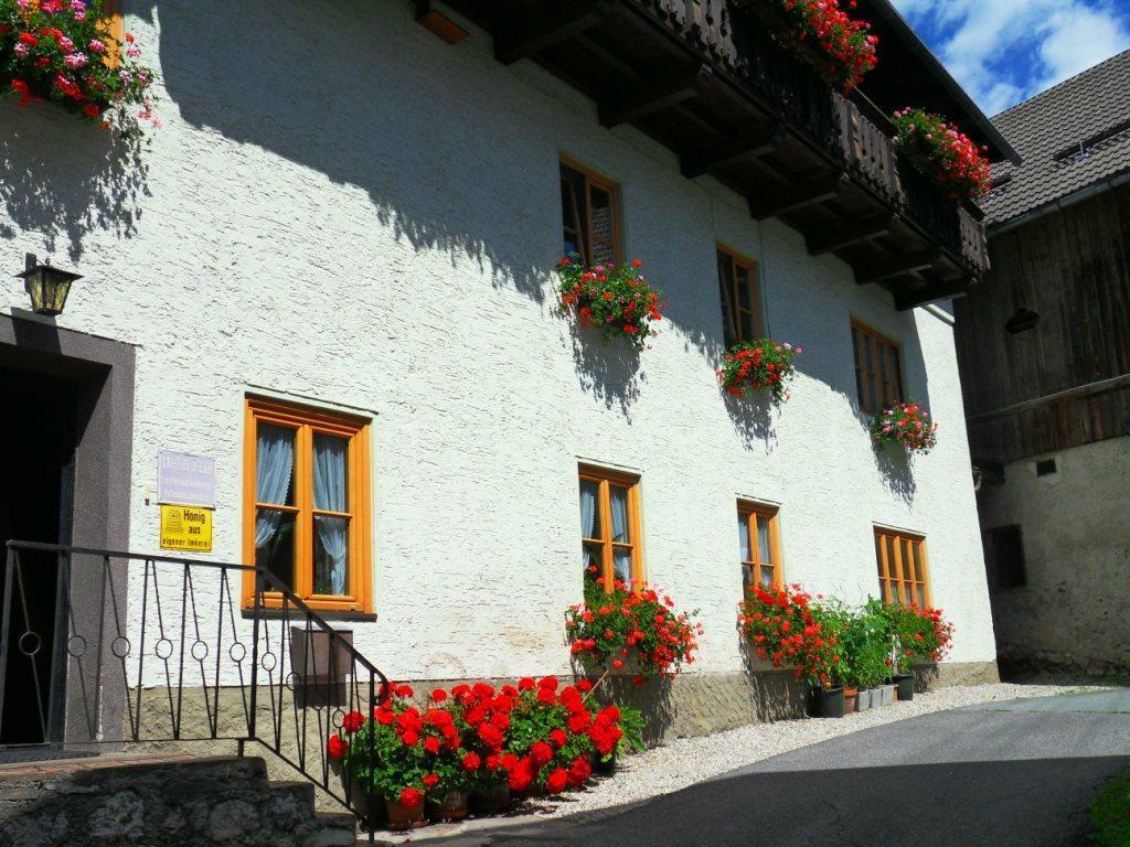 Haus Waldblick Apartment Weissensee Bagian luar foto